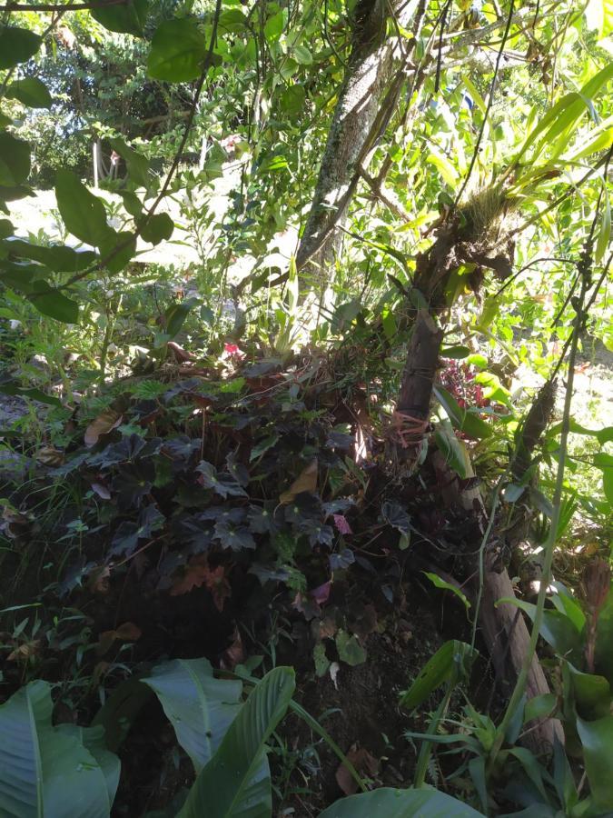 Eco Aldea Topacio ซาไซมา ภายนอก รูปภาพ